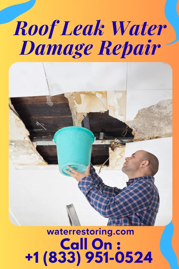 Roof Leak Water Damage Repair in Moroni, UT